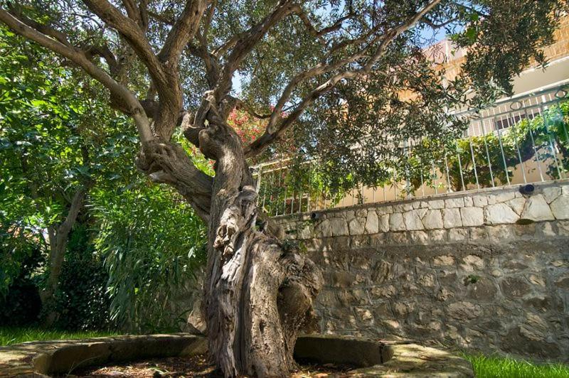 Holiday Home Duje Trogir Exterior photo